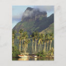 Suche nach französisch polynesien postkarten Palme