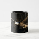 Suche nach weißkopfseeadler tassen Vogel