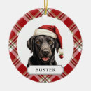 Suche nach schwarzer labrador ornamente Weihnachtsmannmütze