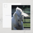 Suche nach backlit poster Grau