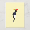 Suche nach specht postkarten Vogel