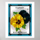 Suche nach stiefmütterchen poster Floral