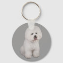 Suche nach bichon frise schlüsselanhänger Welpen