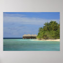 Suche nach maldives poster Palm tree