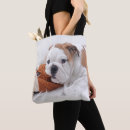 Suche nach englische taschen Haustiere