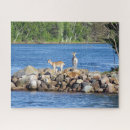 Suche nach ziegen puzzle Natur
