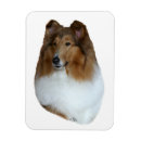 Suche nach herden magnete Hunde