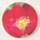 Suche nach rote rosen untersetzer Blätter