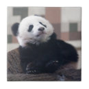 Suche nach panda fliesen Schwarz weiß