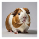 Suche nach das nagetier poster Bezaubernd