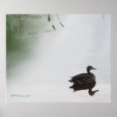Suche nach weibliches tier poster Natur