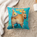 Suche nach corgi kissen Welpe