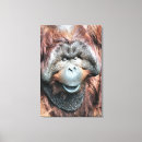 Suche nach orang utan kunst Tiere