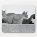 Suche nach konzentration mousepads Fokus