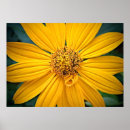 Suche nach persönlicher name poster Blumenreich