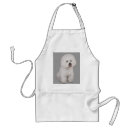 Suche nach bichons schürzen Bichon frise