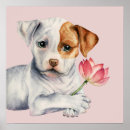 Suche nach lotus blume poster Friedlich