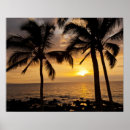 Suche nach palme poster Hawaii