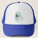 Suche nach golden retriever kappen Hund