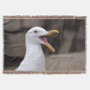 Suche nach lustige bilder decken Tiere