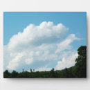 Suche nach bäume auf fotoplatten Weiß