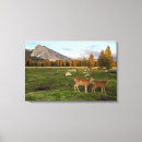Suche nach wiese leinwandbilder Wild lebende tiere