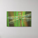 Suche nach jaynes galerie leinwandbilder Grenze danita