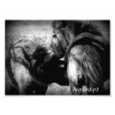 Suche nach filly poster Fadenscheinig