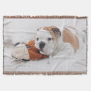 Suche nach englische bulldogge decken Welpe