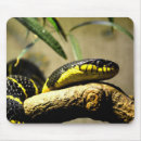 Suche nach schwarze schlange mousepads Reptil