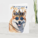 Suche nach shiba inu Haustiere