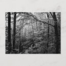 Suche nach schwarze bilder postkarten Natur