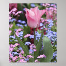 Suche nach luxembourg poster Blume