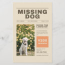 Suche nach tier 14x21 flyer Hund