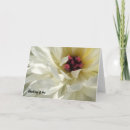 Suche nach grief postkarten Remembrance