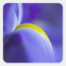 Suche nach iris blumen aufkleber Abstrakt