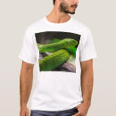 Suche nach snake andere Für ihn