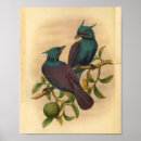 Suche nach lila baum poster Violett