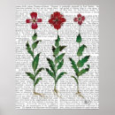 Suche nach nelke poster Steampunk