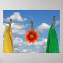 Suche nach augapfel poster Blume