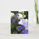 Suche nach iris karten Weiß