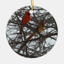 Suche nach roter kardinal ornamente Liebe