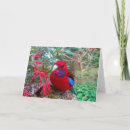 Suche nach rosella karten Papagei