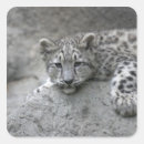 Suche nach panthera aufkleber Zoo