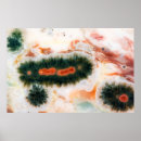 Suche nach geologie poster Abstrakt