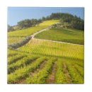 Suche nach landwirtschaft fliesen Grün