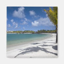 Suche nach mauritius magnete Palme