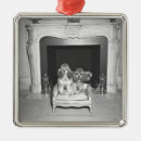 Suche nach reichtum ornamente Horizontal