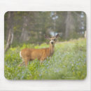 Suche nach drei tiere mousepads Natur