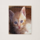 Suche nach katze lustig puzzle Liebhaber